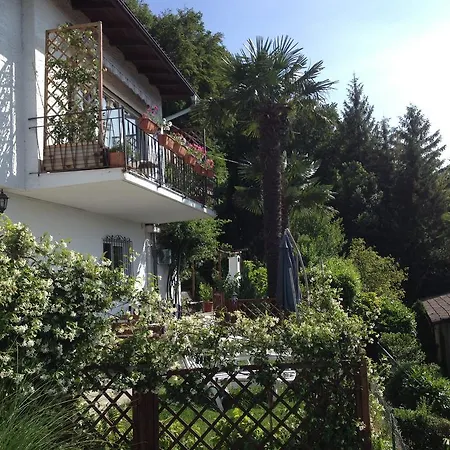 Camelia Apartment *