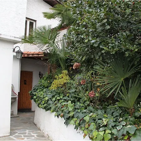 Apartment Camelia