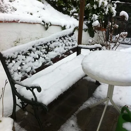 Camelia Apartment Lugano